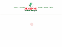 Tablet Screenshot of akmedineiskender.com
